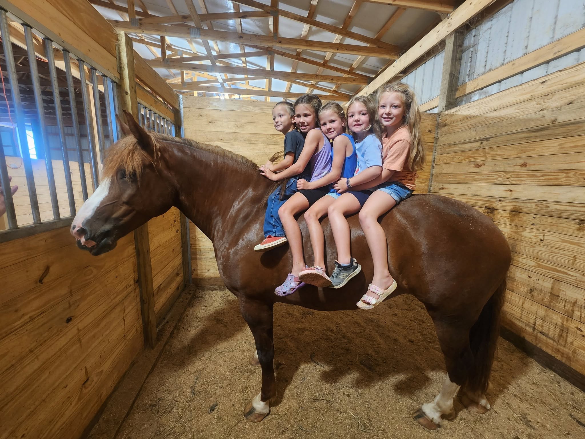 Children spending time together on a horse in the barn