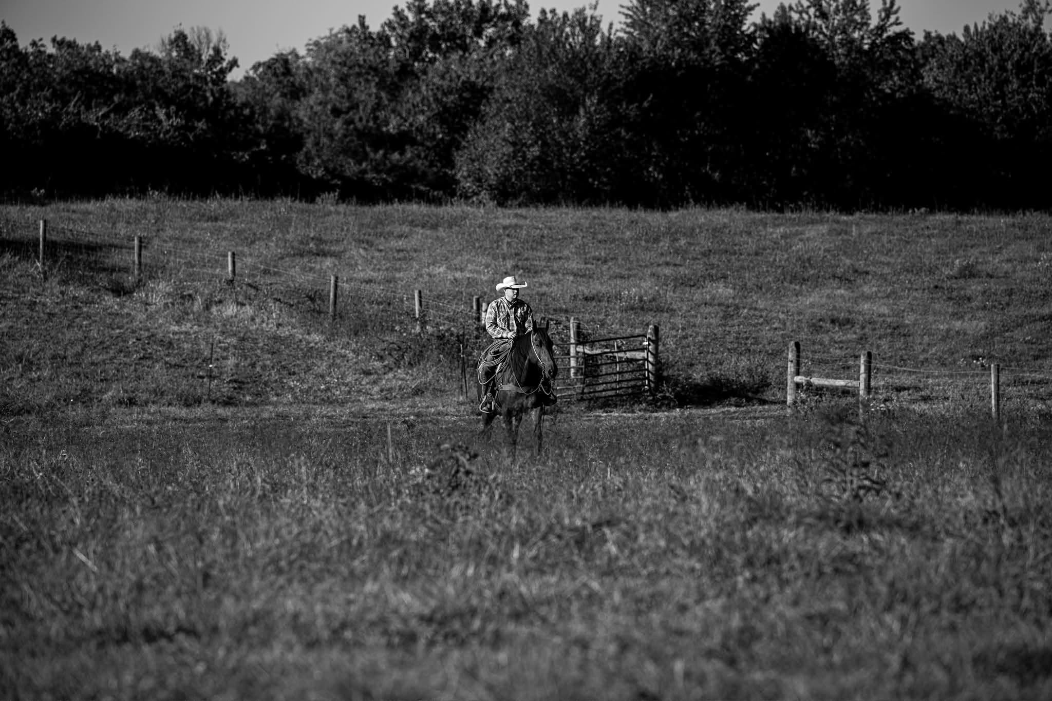 Horse and rider crossing the ranch pasture