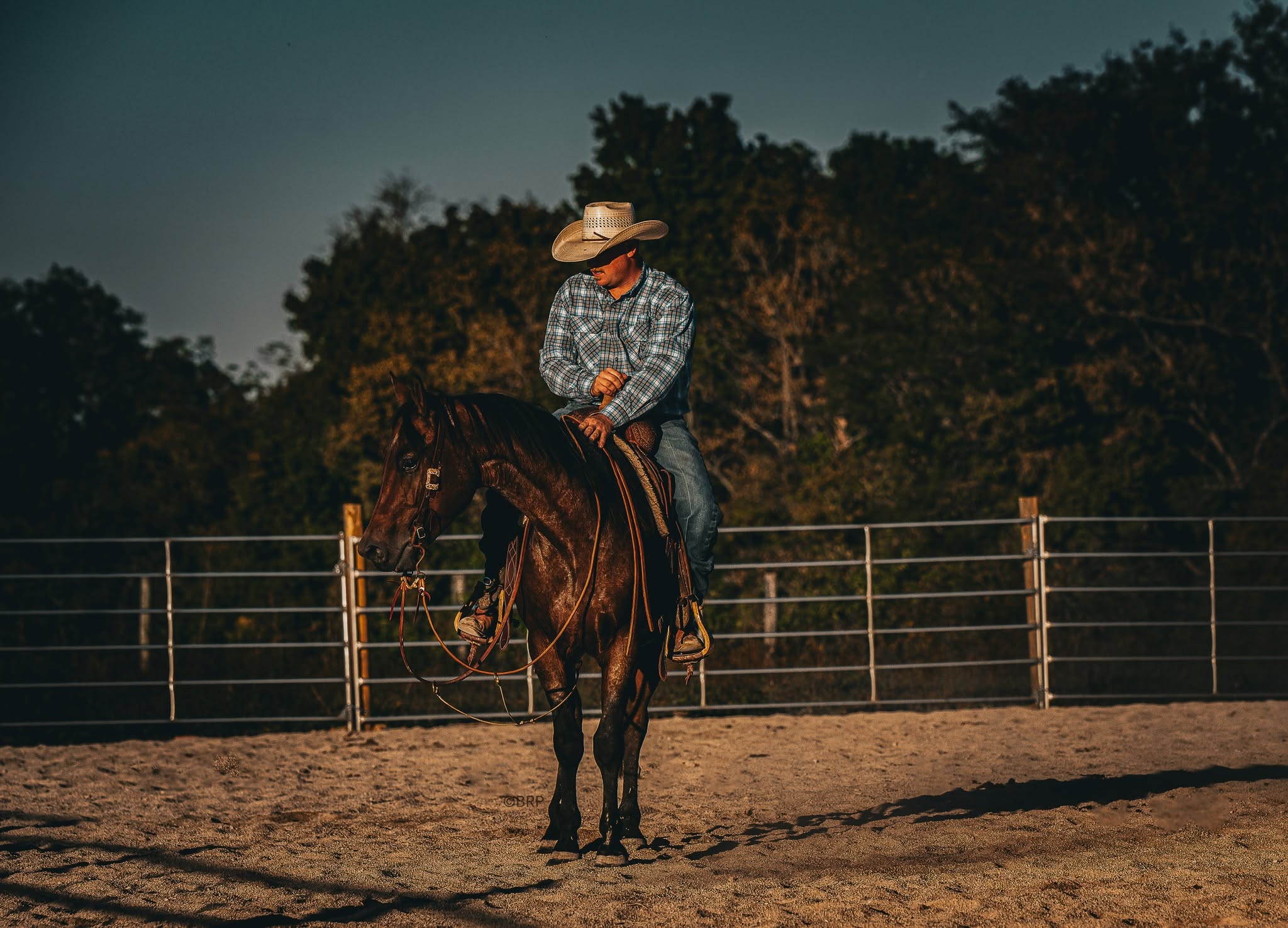 Rider working a horse in the ranch arena